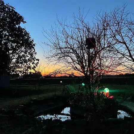 Il Laghetto 2 Bettona