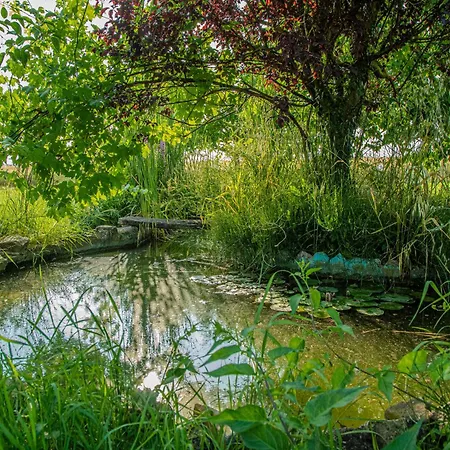 아파트 Il Laghetto 2 베토나