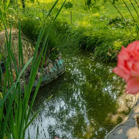 Апартаменты Il Laghetto 2