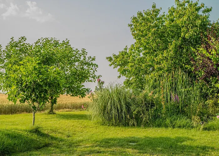 Апартаменты Il Laghetto 2